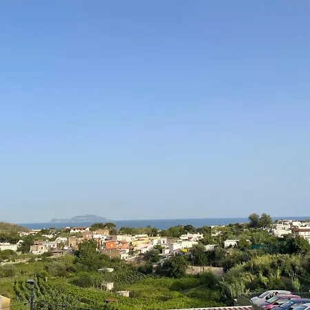 Iris's House Apartment Forio di Ischia